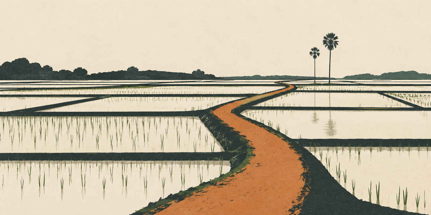 Minimal editorial illustration of rice fields in rural Bangladesh