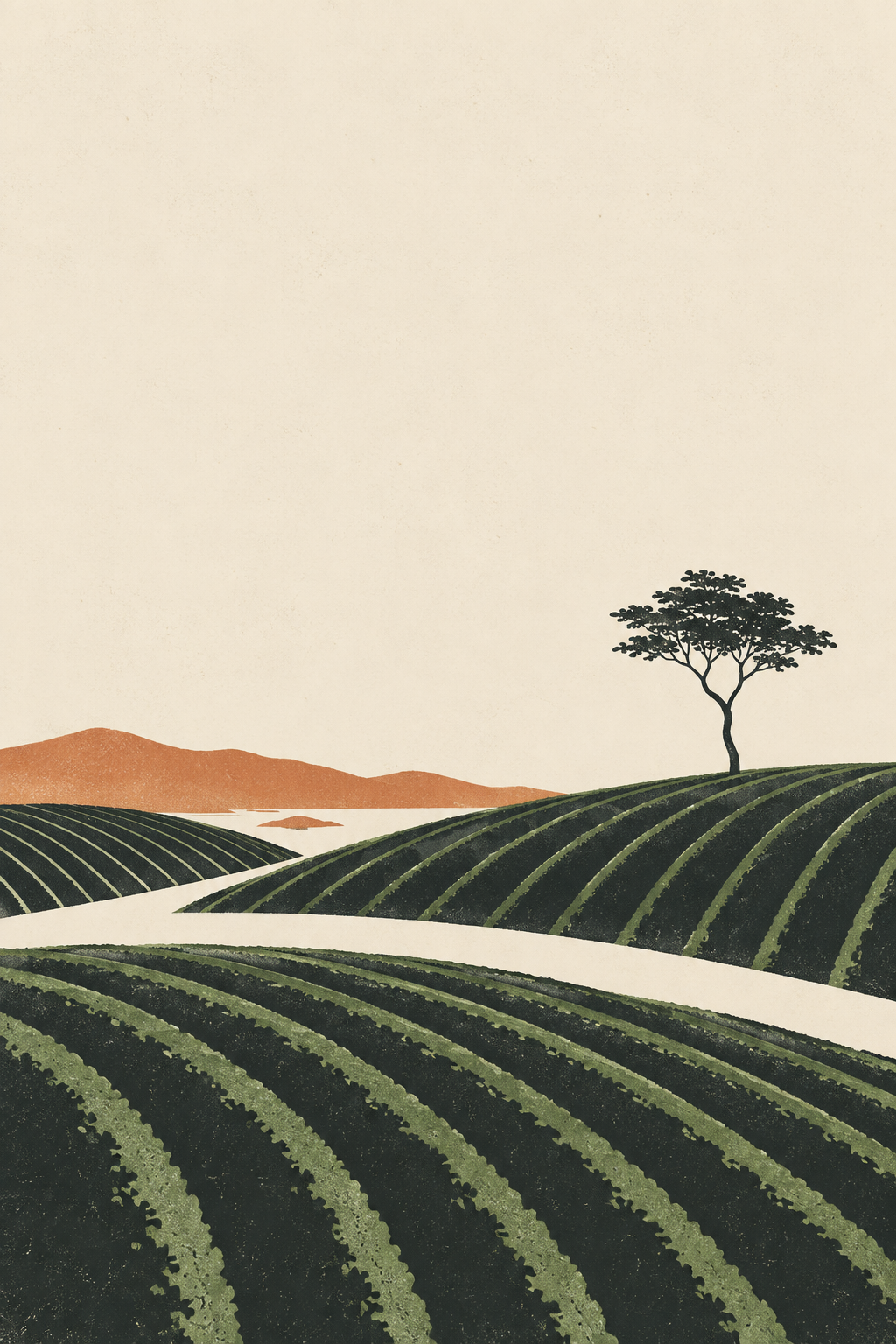Minimal editorial illustration of tea gardens in Sylhet, Bangladesh
